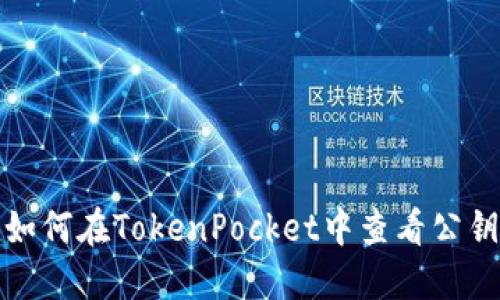 如何在TokenPocket中查看公钥