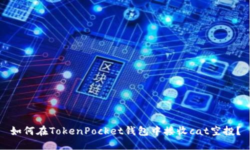 如何在TokenPocket钱包中接收cat空投？