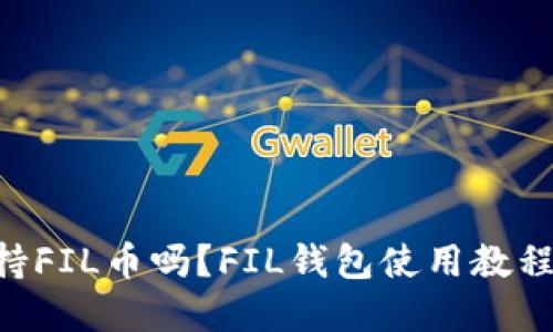 TokenPocket支持FIL币吗？FIL钱包使用教程和安全问题解答