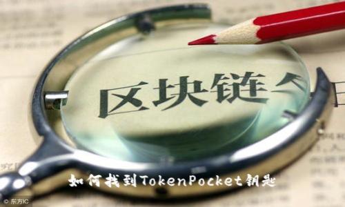 如何找到TokenPocket钥匙