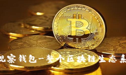 TokenPocket观察钱包-整个区块链生态系统的必备工具