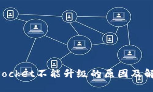 TokenPocket不能升级的原因及解决方法