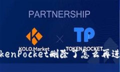 TokenPocket删除了怎么再进入