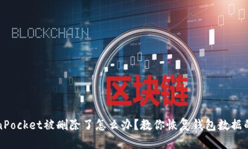 TokenPocket被删除了怎么办？教你恢复钱包数据的方法