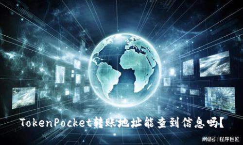 TokenPocket转账地址能查到信息吗？