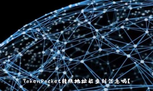 TokenPocket转账地址能查到信息吗？