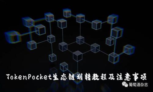 TokenPocket生态链划转教程及注意事项