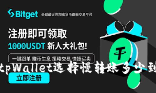 tpWallet选择慢转账多少到