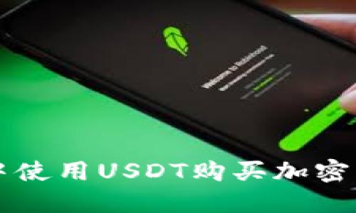 如何在TP钱包中使用USDT购买加密货币的完整指南