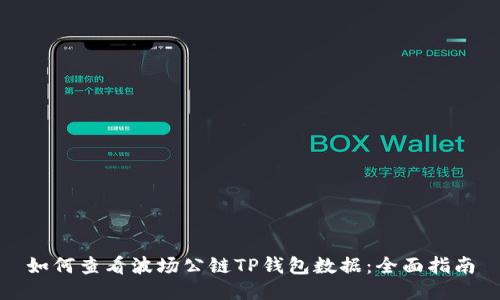 如何查看波场公链TP钱包数据：全面指南