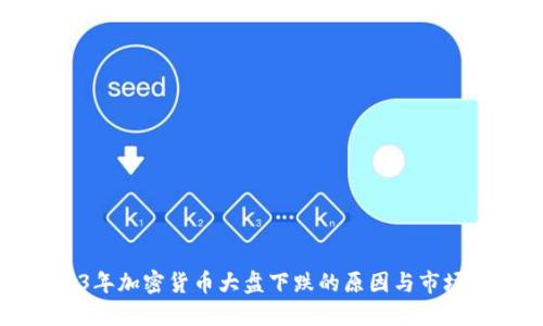 2023年加密货币大盘下跌的原因与市场展望