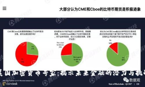 美国加密货币专家：揭示未来金融的潜力与挑战