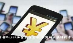 深入了解Burst加密数字货币：创新的区块链技术与