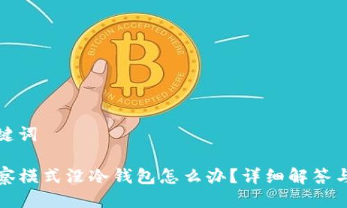 思考与关键词

TP钱包观察模式没冷钱包怎么办？详细解答与解决方案