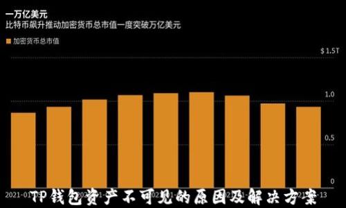 
TP钱包资产不可见的原因及解决方案