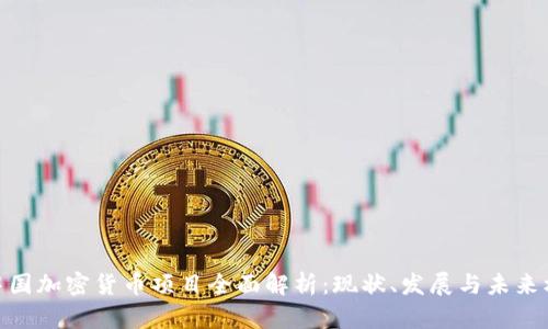 : 中国加密货币项目全面解析：现状、发展与未来机遇