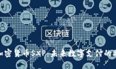 Visa与加密货币SXP：未来数字支付的融合趋势