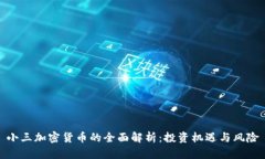 小三加密货币的全面解析：投资机遇与风险