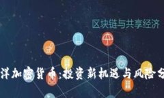 刘洋加密货币：投资新机遇与风险分析