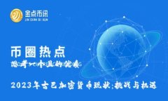 思考一个且的优质2023年古巴加密货币现状：挑战