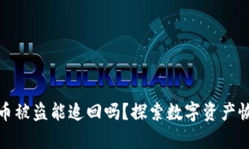 TP钱包里的币被盗能追回吗？探索数字资产恢复的可能性