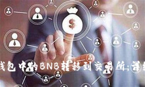 如何将TP钱包中的BNB转移到交易所：详细步骤解析