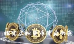 加密货币浑水：探究虚拟货币背后的真实风险与