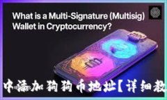   如何在TP钱包中添加狗狗币地址？详细教程与注